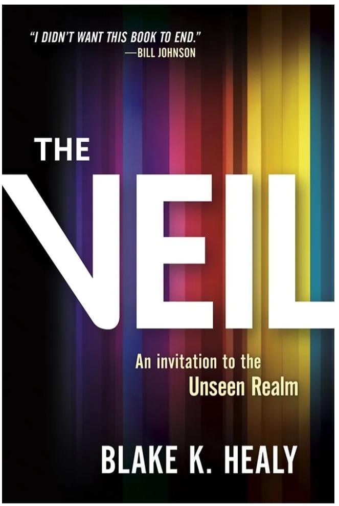 The Veil: An Invitation to the Unseen Realm by Blake K. Healy